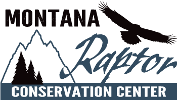 Montana Raptor Conservation Center logo